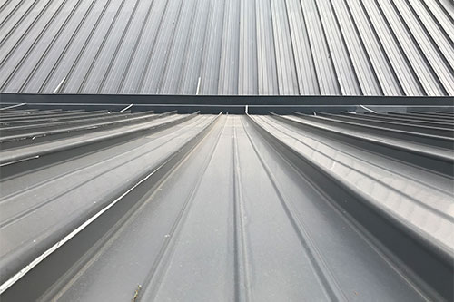 教（jiāo）育類項目&mdash;&mdash;東華（huá）大學屋麵